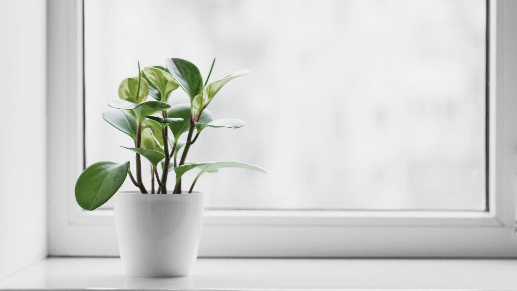 Подоконник из акрилового камня для дома – Modern Acrylic Stone